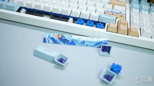 定制化手感與悅動(dòng)光效 玄派玄熊貓PD98機(jī)械鍵盤(pán)深度體驗(yàn)