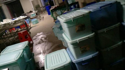 一站式業務轉讓 廚師配套、消毒餐具設備及辦公用品全包